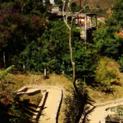 Abandono do Horto