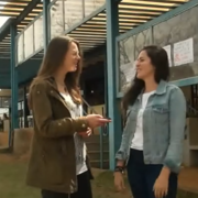 Alimentação Universitária