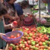 Agricultura familiar