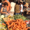 Nutrição - Reportagem