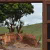 Refazenda: Relatos sobre Bento Rodrigues - Documentário
